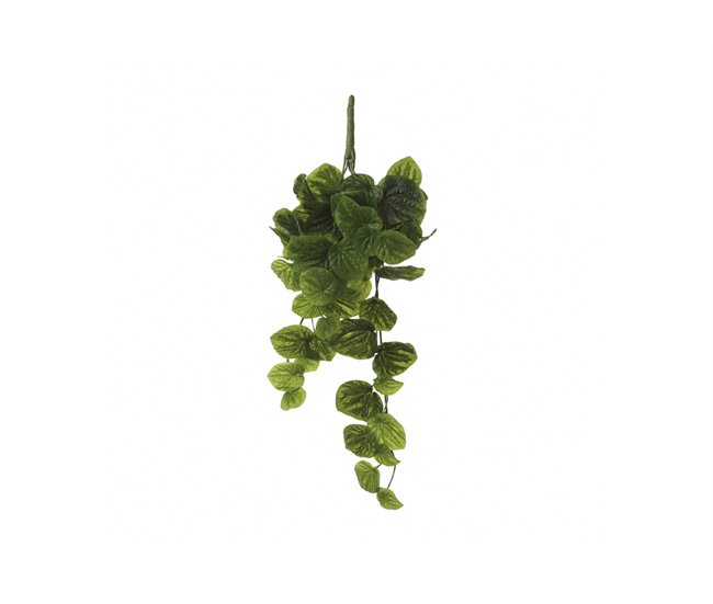 292cfa9e73f54755fcb2511d2e82c5f6d3a87e4b_111019__2_ A Buen Precio Planta artificial colgante PEPEROMIA marca MYCA - Conforama