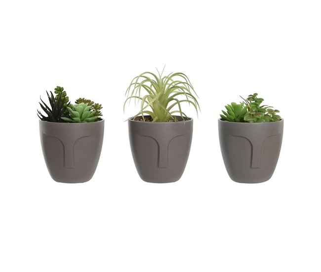 45883dfbc8d7769947565947cde878fab6fa1488_1d5eb63df9aa4962b42e0cdf5ead9170 Disponible Ahora Planta Decorativa DKD Home Decor Gris Beige Polietileno Verde Polipropileno (11 x 11 x 15 cm) (3 Unidades) - Conforama