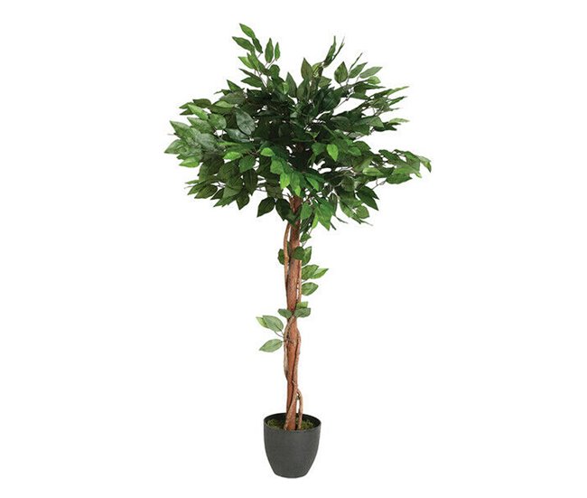 57f93a13149092dd91fe77d6e469e18b562425ad_260f6ea6dee74b8cae9d8b7dc8016761 WELL HOME - Ficus artificial en maceta - Conforama Nuevo Modelo