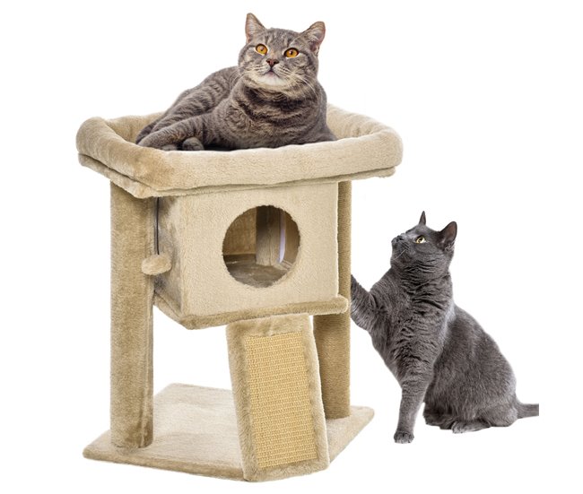 6acf9315dee10a13621f42710120bbadc2ae7f0f_2298345490db4fa3b67f279497298d68 PawHut Árbol Rascador para Gatos Pequeños de 57 cm Torre para Gatos con Poste de Yute Rampa para Rascar Cama y Bola Colgante 40x40x57 cm Café - Conforama Comprar En Línea