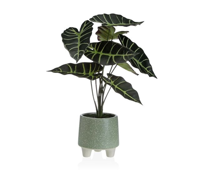 78efd302079eb2c7db836868520d9143629ef769_36e81529c78647f7acd24d6c991346c5 Planta Decorativa Versa Metal Cerámica Poliestireno Plástico 30 x 46 x 34 cm - Conforama Certificado