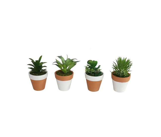 Entrega Rápida Planta KOTA surtida marca GERIMPORT - Conforama