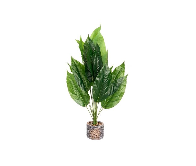 a2ef03b8ee49ebbcc234f54d1deda38dda785138_a8efcd1e3b734948b1fbc104e068daad Alta Calidad Planta Decorativa Ibergarden 11 Plástico Magnesio 50 x 50 x 84 cm (4 Unidades) - Conforama