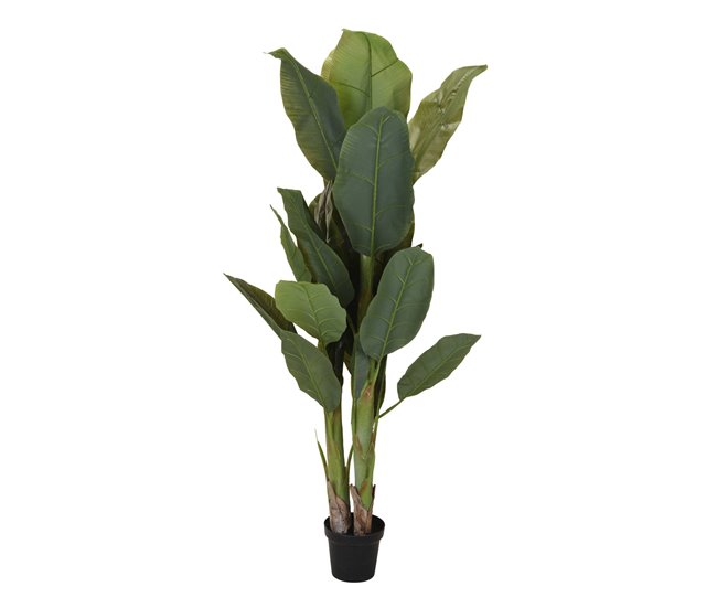 adff47df34a51a38708623c81bc213556cdc6592_d01db46294ef46cdad0c345d48c42549 Well Home Planta Artificial con 29 Hojas y 3 Ramas -Ø80 x 165cm - Conforama Oferta