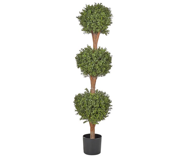 bc6eb67133742ae1bed6326372efac065cf613db_007e2e1eb97846b09e857455bdcf37c4 Última Versión Planta artificial BUXUS BALL TREE 154 cm Verde - Conforama