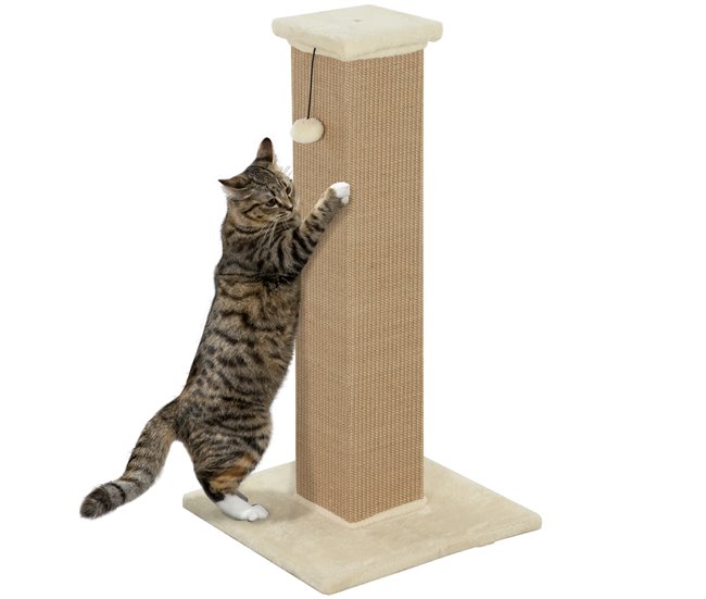 PawHut Poste Rascador para Gatos Altura 81 cm Rascador para Gatos Arañador para Gatos con Poste de Yute y Bola Colgante 41x41x81 cm Beige - Conforama Últimas Unidades