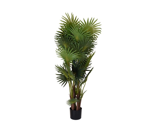 bff78ad794eb2ca602897dd0e8a90ccb5e7f33ac_107183 Planta artificial PALMITO 127cm - Conforama Certificado