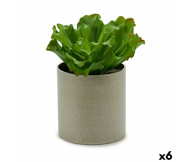 ed620e98d1811ebef882f9704077f2b25bd1240a_29de7179944649f6bf7029f1d3332dac Planta Decorativa 20 x 25 x 20 cm (6 Unidades) - Conforama Envío Inmediato