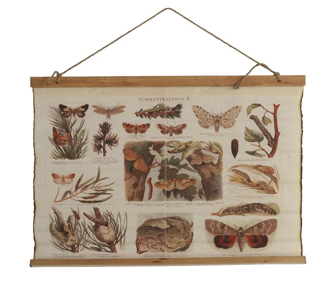 f5e2789b20b657130a43e828bcacccf787c700ca_4955d6044e4e465f98ab953fe01bd233 Mariposas decorativas en tela de lona 65X85 cm - Conforama Exclusivo