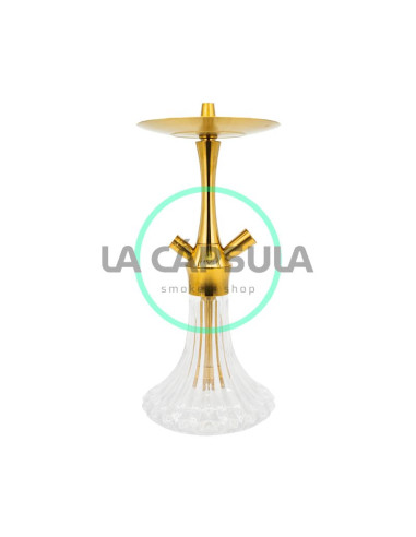 aladin-mvp-a36-gold Aladin MVP A36 Gold Favorito De Clientes