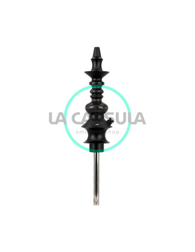 regal-dw-pawn-6 Comprar En Línea Regal D.W Pawn (6)