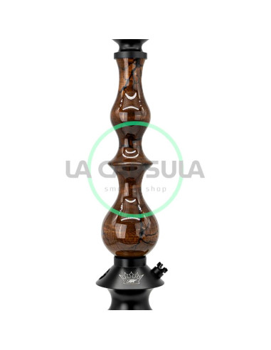 regal-queen-art-zeus Lujoso Regal Queen Art Zeus
